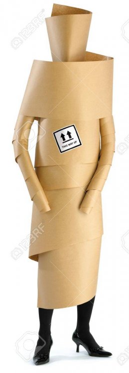 7924442-a-woman-girl-wrapped-up-in-brown-paper.thumb.jpg.261c07c0c28901b074be41fea4938760.jpg