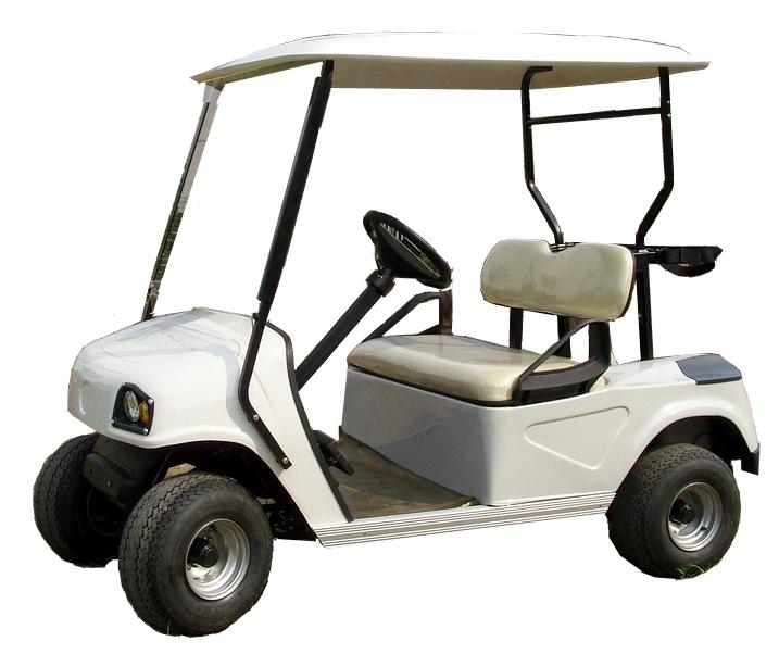Electric-golf-cart.jpg.316927a12e1fa24436095f859c046f06.jpg